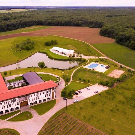 Casa Vlasia Snagov Exterior foto