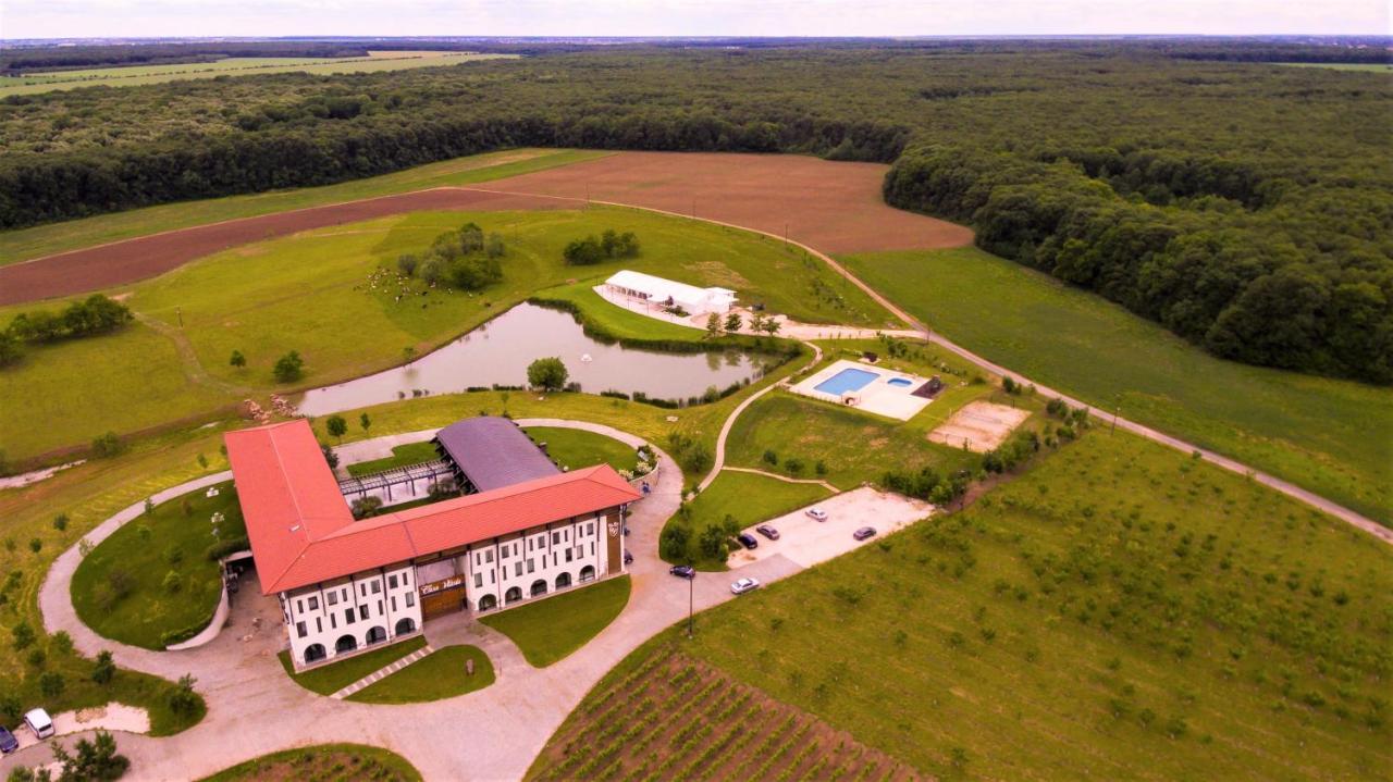 Casa Vlasia Snagov Exterior foto