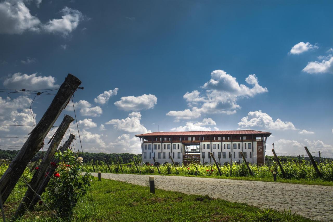 Casa Vlasia Snagov Exterior foto