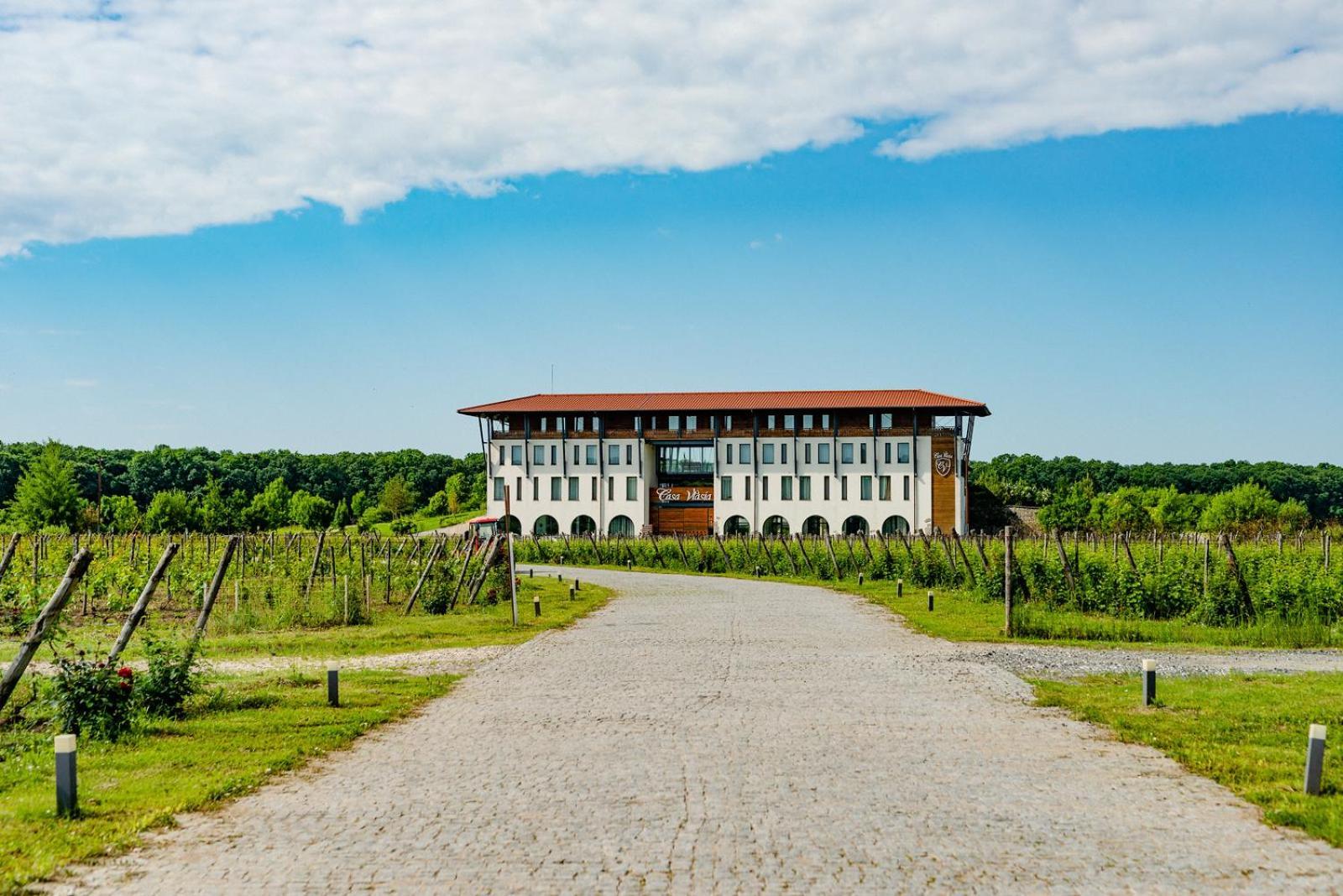 Casa Vlasia Snagov Exterior foto